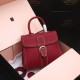 DELVAUX 델보 브릴리언트(Brillant) MM 백