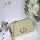 DIOR 디올 카로(CARO) 라지 백