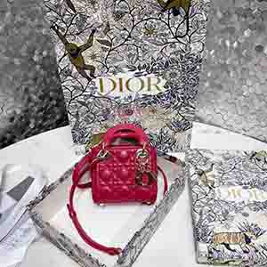 DIOR 디올