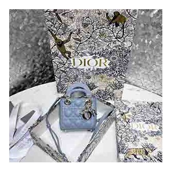 DIOR 디올