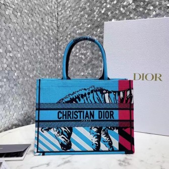 DIOR 디올