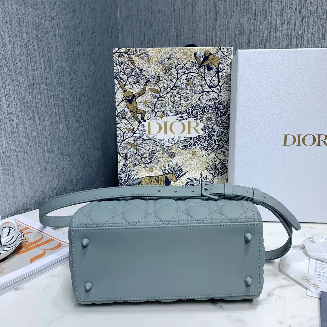 DIOR 디올