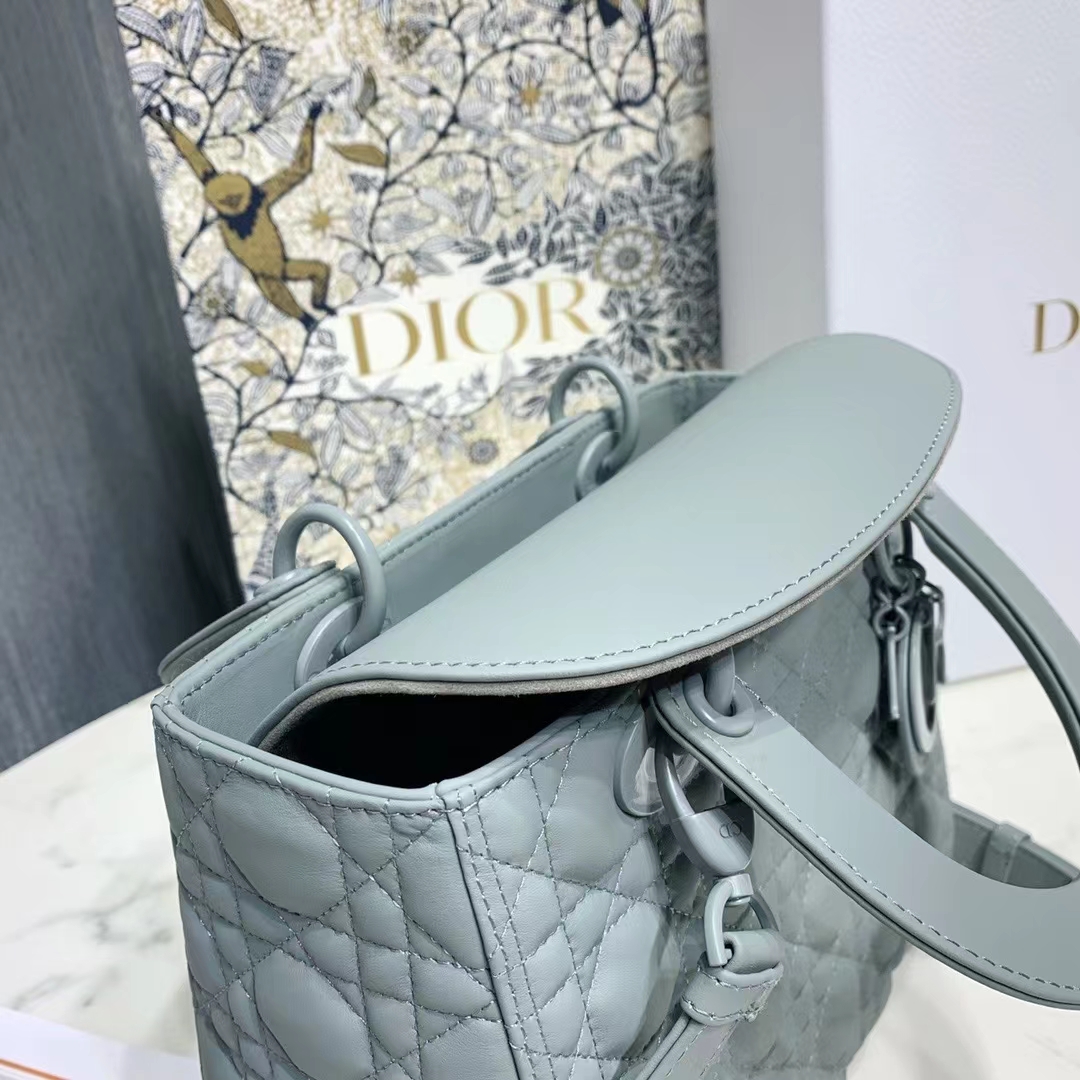 DIOR 디올