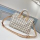 LOUIS VUITTON 루이비통 스피디 반둘리에 30 N41373